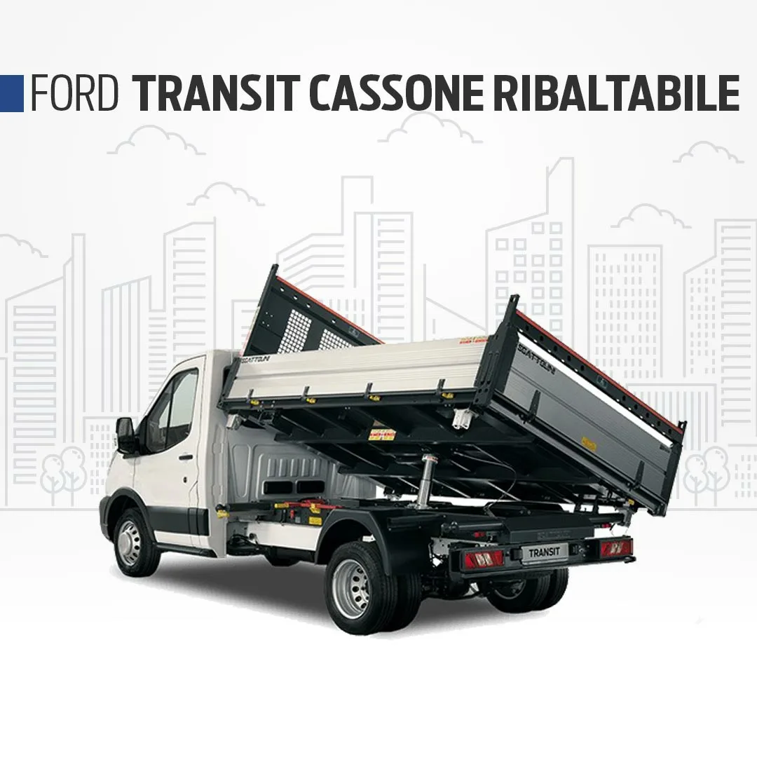 Ford Transit 350 L2 Cassone Ribaltabile Trazione Posteriore 2.0 Ecoblue 130cv